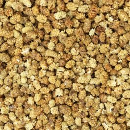 Moerbei bessen [gedroogd] / Mulberries